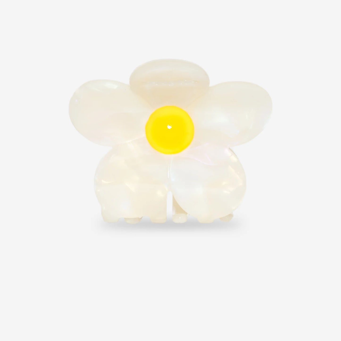 Flora soleil